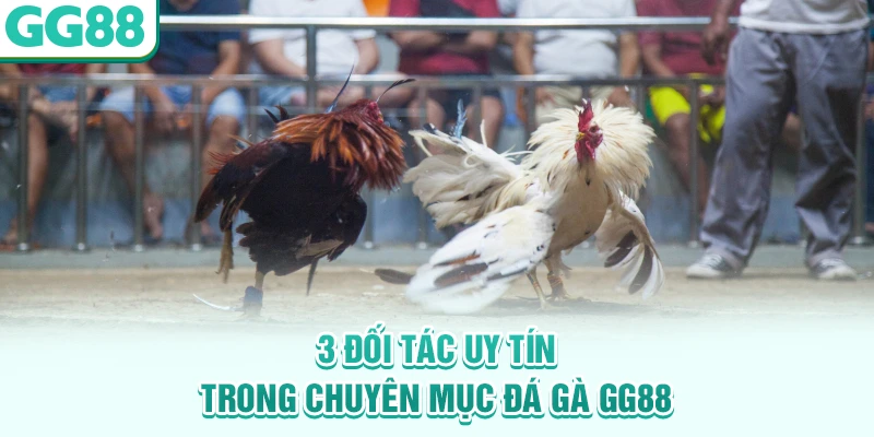 3 đối tác uy tín trong chuyên mục đá gà GG88