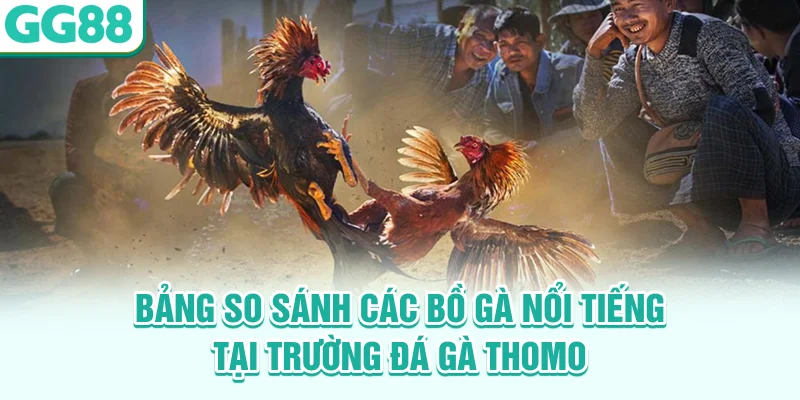 Bảng so sánh các bồ gà nổi tiếng tại trường đá gà Thomo