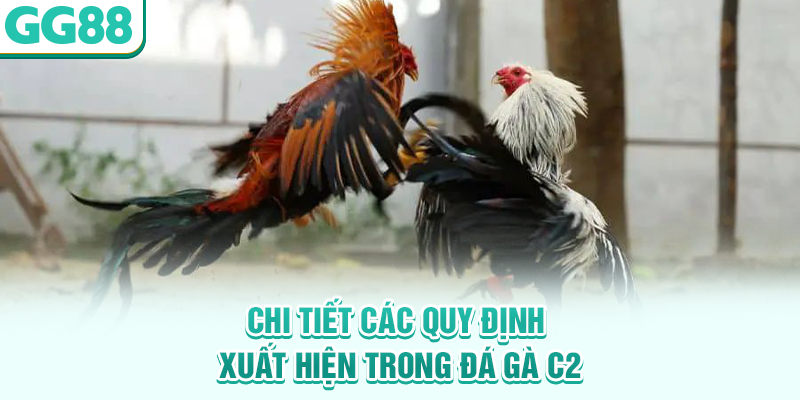 Chi tiết các quy định xuất hiện trong đá gà C2