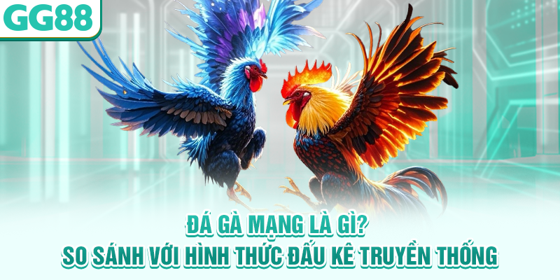 Đá gà mạng