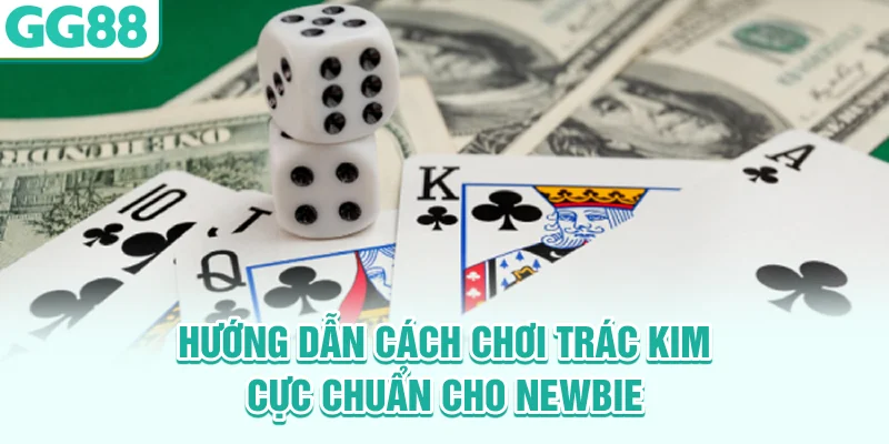 Hướng dẫn cách chơi Trác Kim cực chuẩn cho newbie