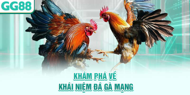 Khám phá về khái niệm đá gà mạng