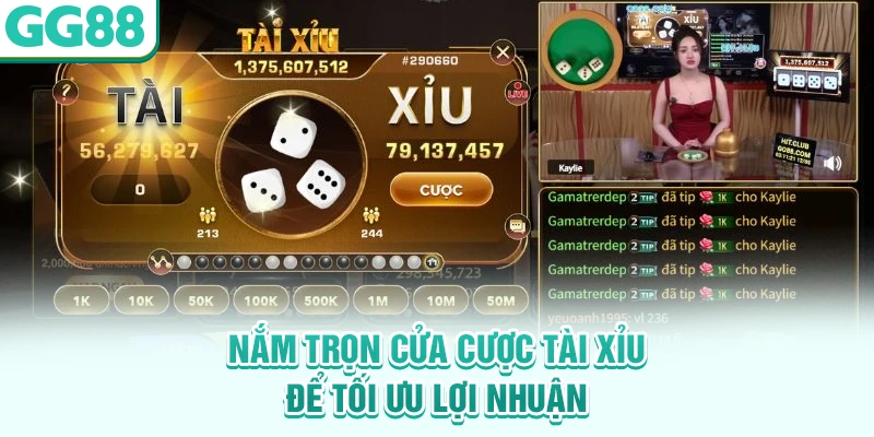 Nắm trọn cửa cược tài xỉu để tối ưu lợi nhuận