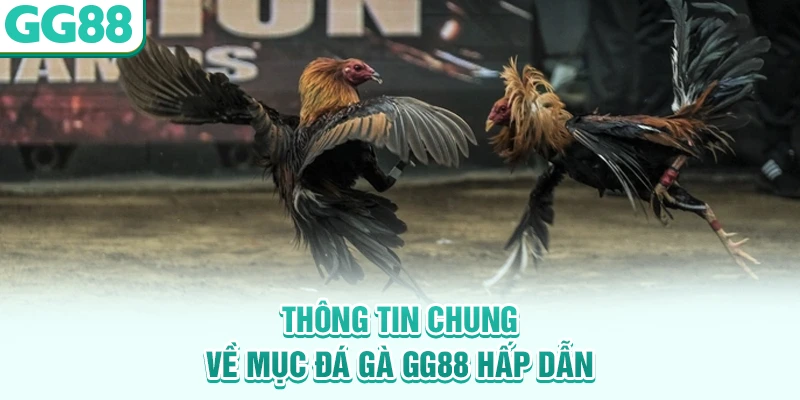 Thông tin chung về mục đá gà GG88 hấp dẫn