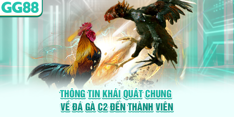 Thông tin khái quát chung về đá gà C2 đến thành viên
