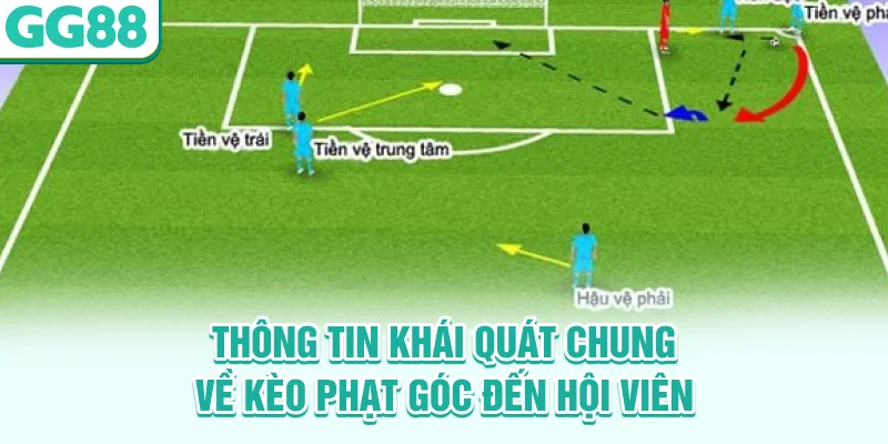 Thông tin khái quát chung về kèo phạt góc đến hội viên
