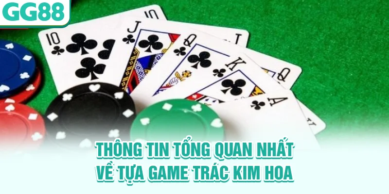 Thông tin tổng quan nhất về tựa game Trác Kim Hoa